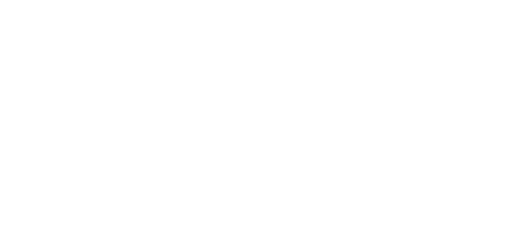 לוגו פרפקט וואן